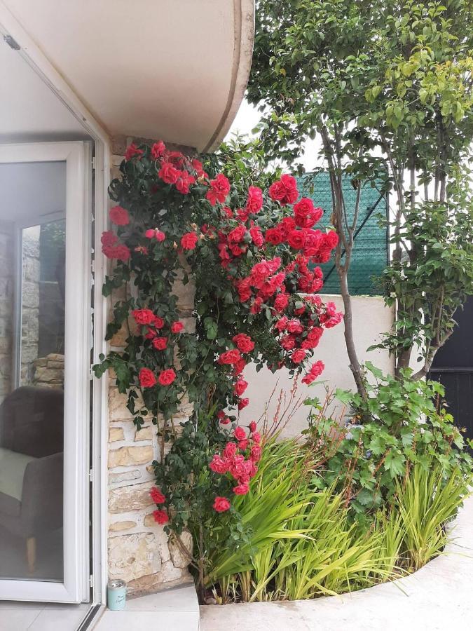 Appartement Climatise Au Calme En Provence Pierrefeu-du-Var Eksteriør billede